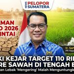 Ancaman El Nino Mengintai, OKI Kejar Target 110 Ribu Hektare Sawah Siap Digenjot